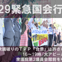 0929-tpp-emergency-action