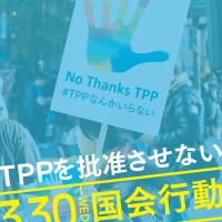 TPP3.30_flyer_1